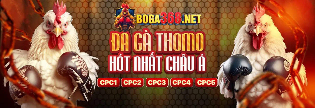 Sân vận động đầy ắp khán giả với ánh đèn rực rỡ, tượng trưng cho sự kiện thể thao lớn tại win55 fun