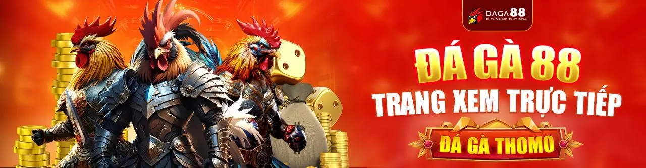 Cá Cược Thể Thao Trực Tiếp & Trong Trận tại win55 fun